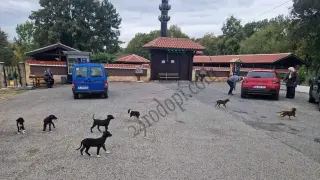 Тъжно: Една от най-старите джамии на Балканите се превърна във...