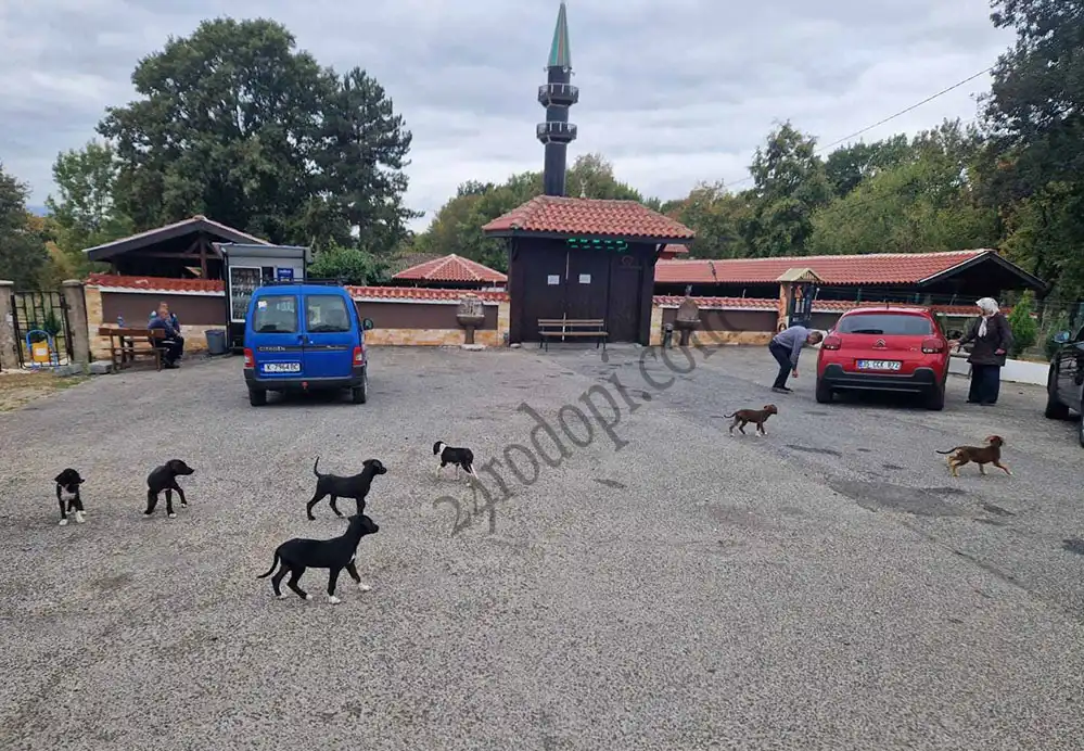 Тъжно: Една от най-старите джамии на Балканите се превърна във...