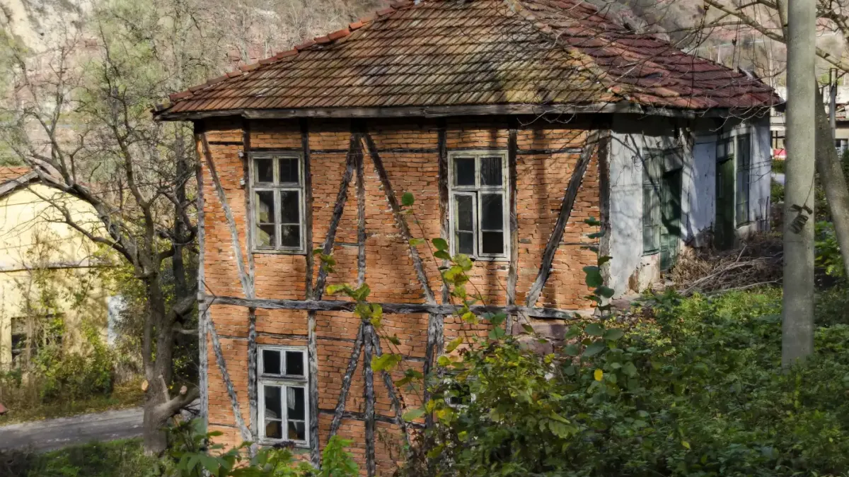 Всички гледат в захлас: Неочаквана находка в наше село, роди се... Видео