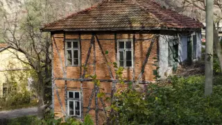 Всички гледат в захлас: Неочаквана находка в наше село, роди се... Видео