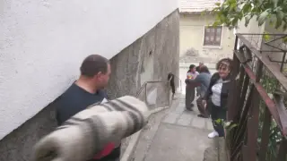 Чудо като това в Търново България не помни Снимки