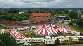 Ужасяващ инцидент на цирково представление, акробатка падна и загина Снимки