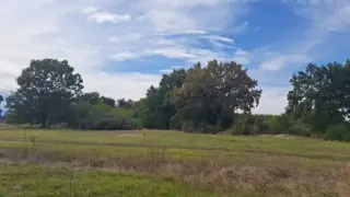 Обявиха нова защитена местност в България, там има впечатляващи...