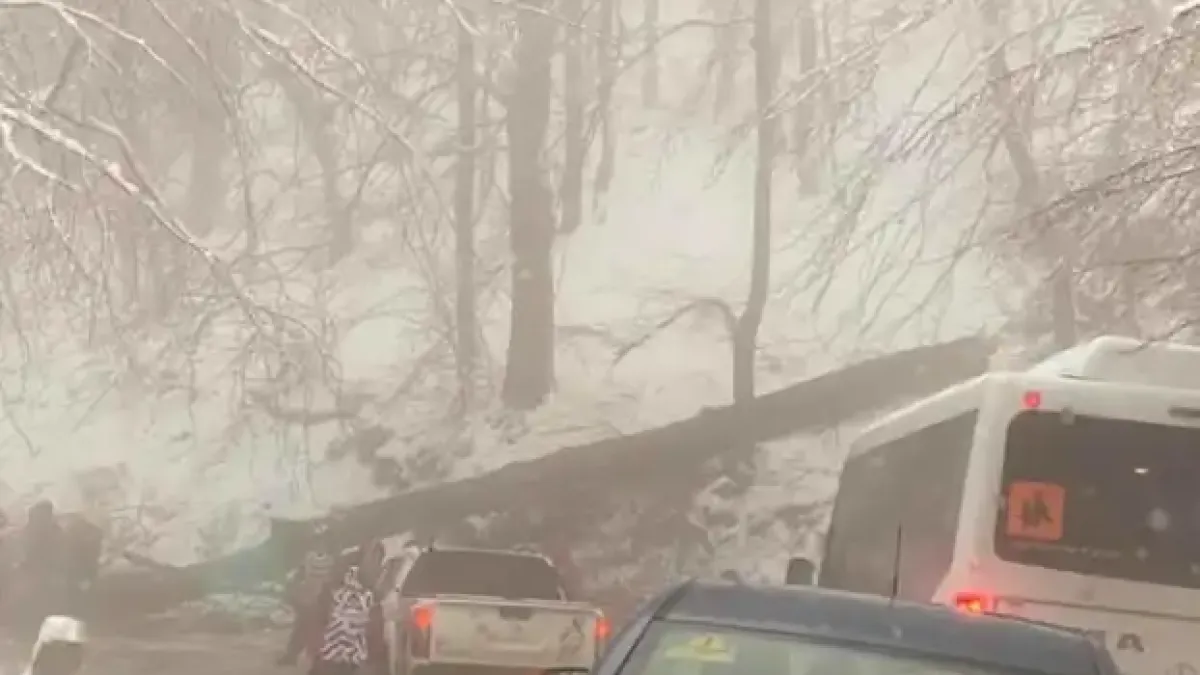 Внимание на Витоша! Очаква се силен горолом