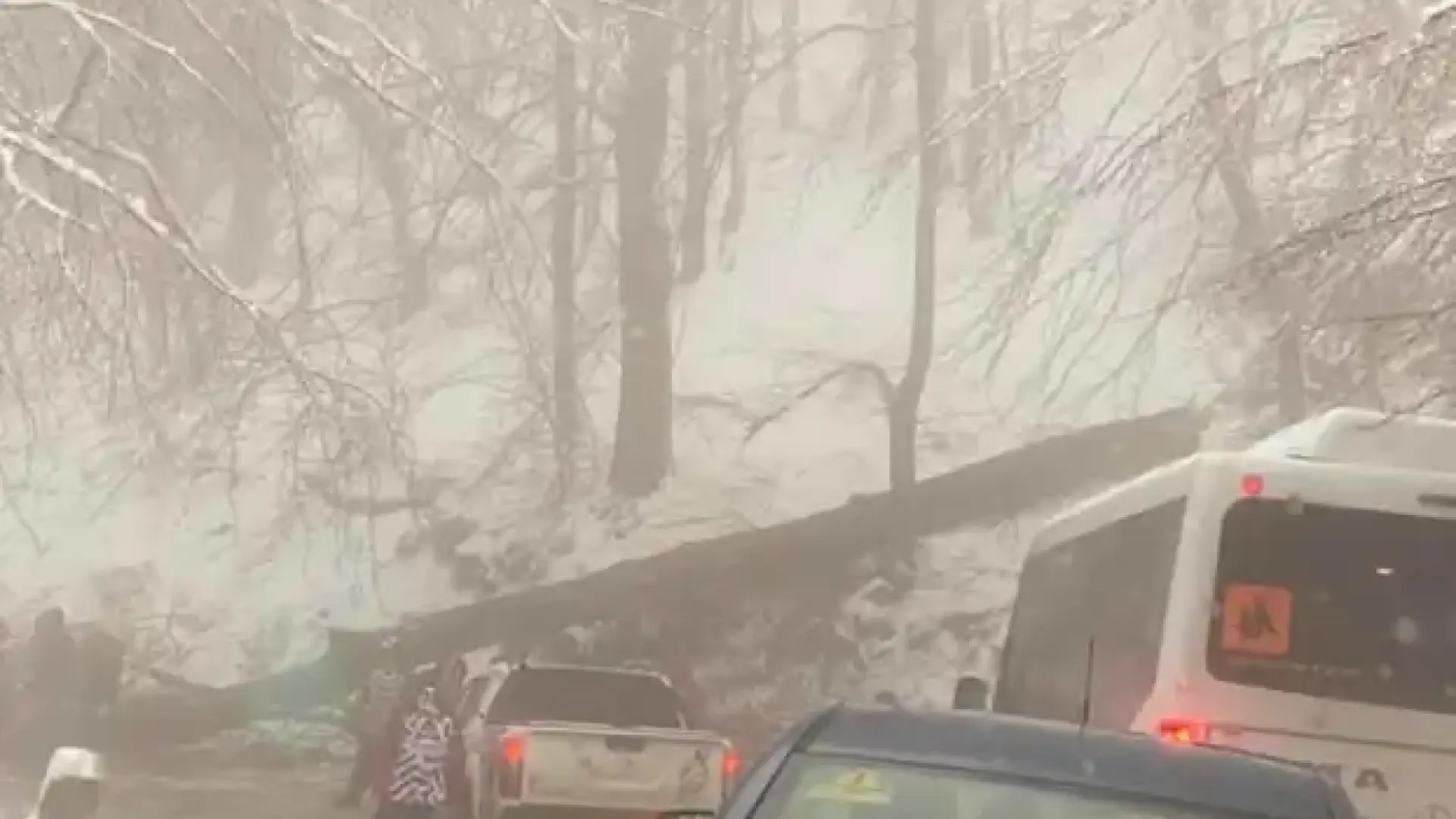 Внимание на Витоша! Очаква се силен горолом