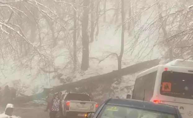 Внимание на Витоша! Очаква се силен горолом