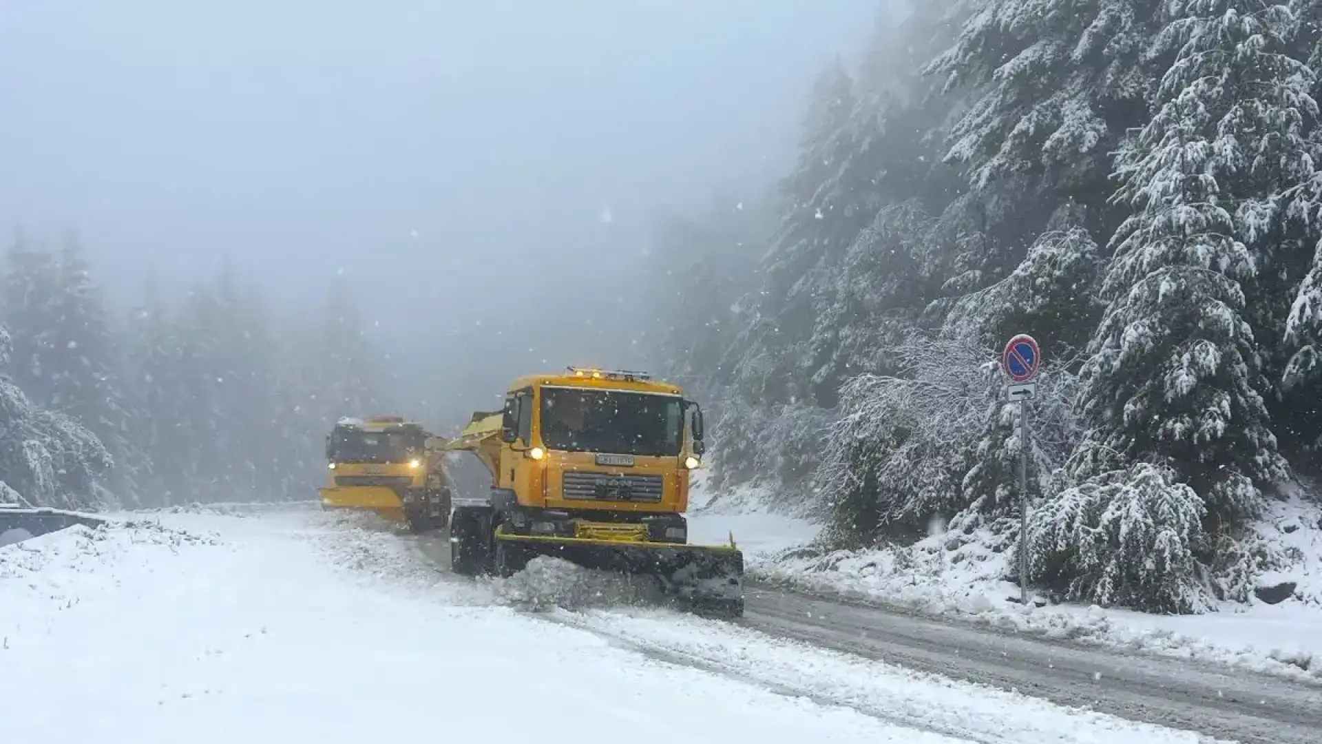 290 снегорина чистят пътищата, каква е ситуацията