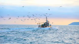 Тревожни промени в Черно море, изчезват...