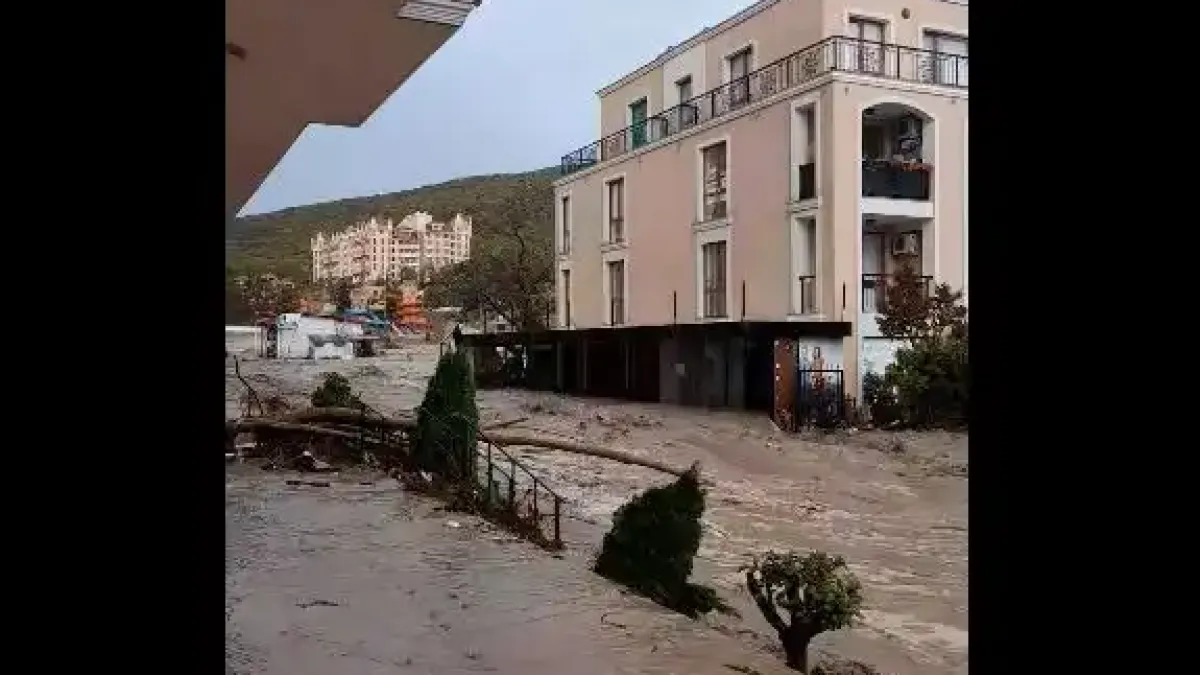 Държавата с извънреден ход след апокалипсиса в Бургаско