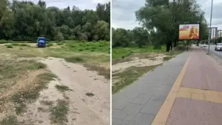 Забрана ли? Рибари и пикник ентусиасти направиха немислимото на коритото на Марица
