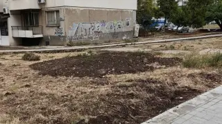 Жена събра погледите с това, което прави в столичен квартал – пред чужд блок Снимки