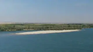 От пълноводие до пустош: Дунав край Лом се превърна в поле Видео