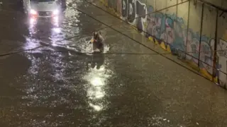 Реките на София изчезват под земята! Експерт: Строим върху води – трагедията е въпрос на време