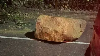 "Царевец" се руши, канари мачкат таксита Снимки