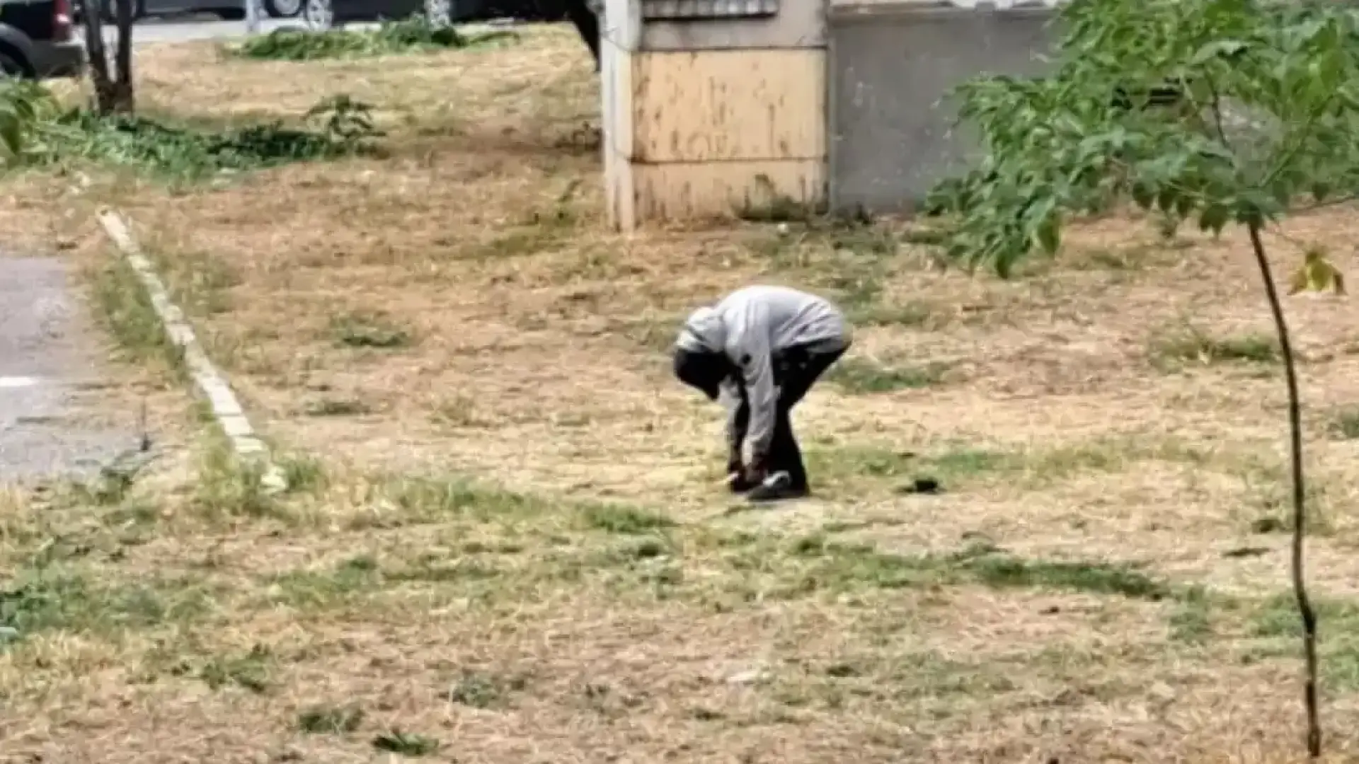 "Живите мъртви" превземат Пловдив бавно, но сигурно