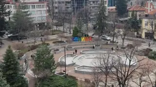 В Дупница обличат дърветата нощем, за да...
