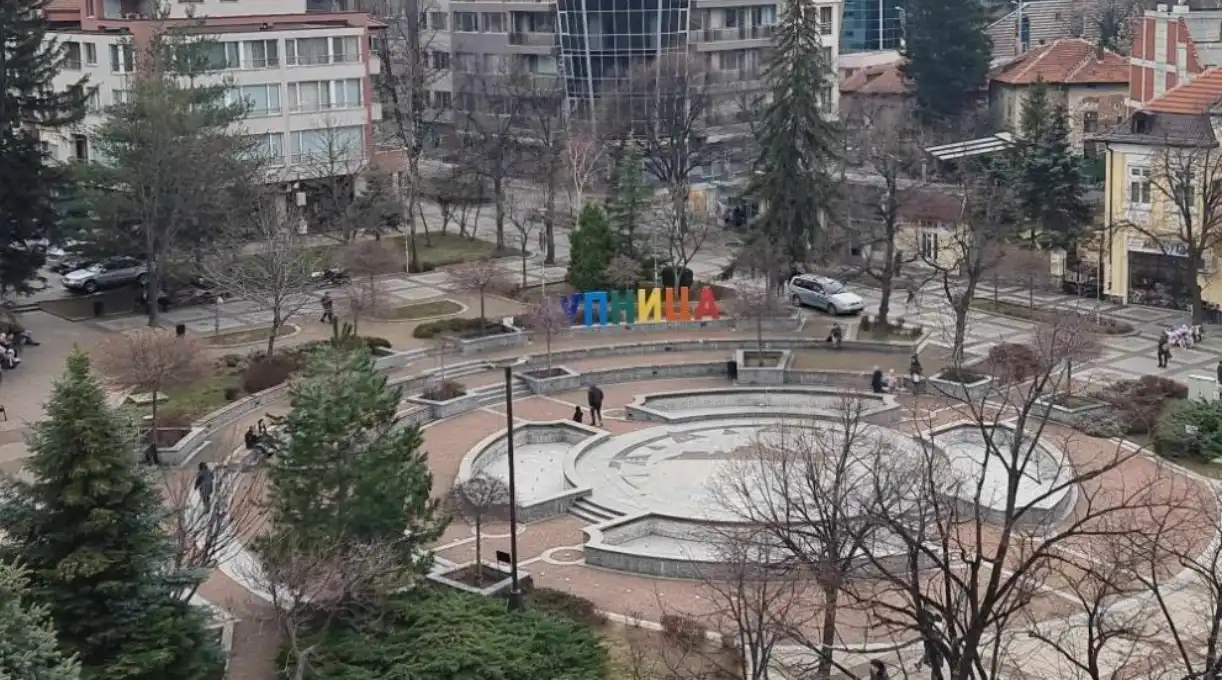 В Дупница обличат дърветата нощем, за да...