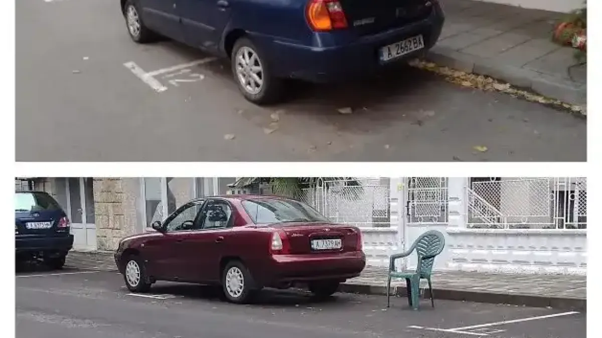 В Несебър имат нов цар на улица Снимки