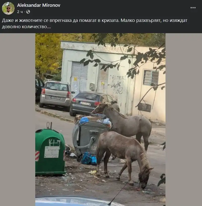 Не е смешно: Опасна ситуация в "Люлин" покрай препълнена кофа Снимка