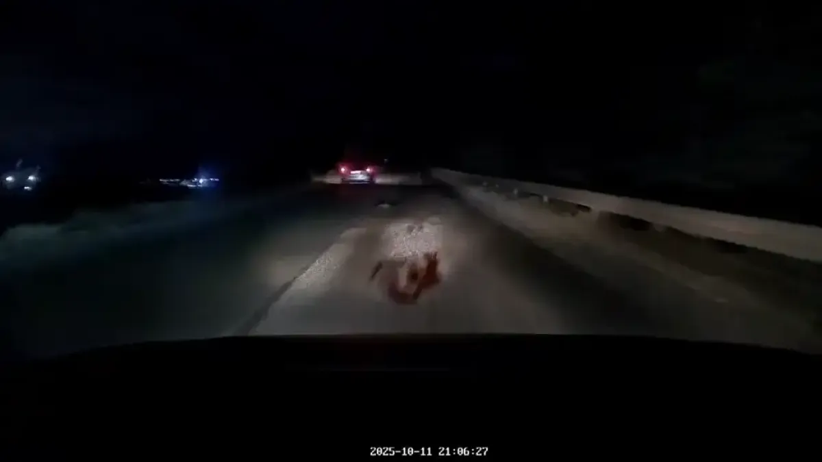 Ужас на моста над „Хемус“: Кръв, ударени коли и четири трупа Видео 18+