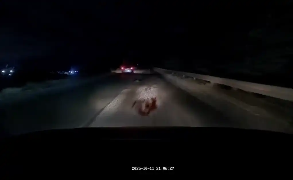 Ужас на моста над „Хемус“: Кръв, ударени коли и четири трупа Видео 18+