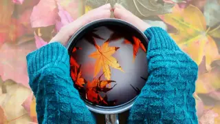 Край на есенните настинки! 7 тайни стъпки за силен имунитет още днес