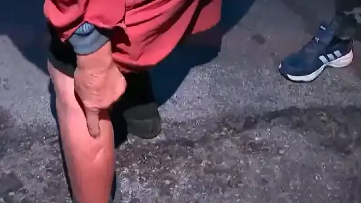 Зверове всяват страх в софийско село, има десетки разкъсани Видео