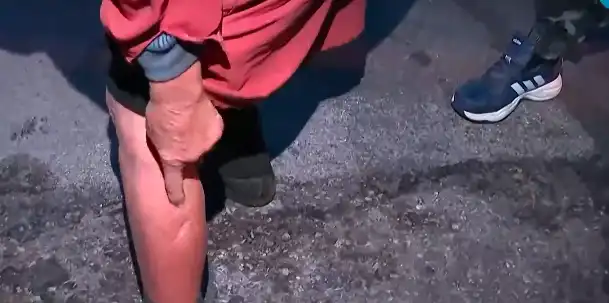 Зверове всяват страх в софийско село, има десетки разкъсани Видео