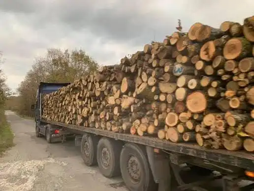 Цената на дървата се повишава всяка година