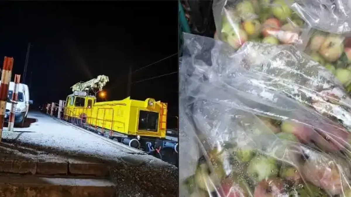 Срамната кражба на ябълки в НКЖИ: Баща ми сам срещу 10 човека им се моли да ги оставят