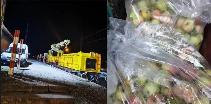 Срамната кражба на ябълки в НКЖИ: Баща ми сам срещу 10 човека им се моли да ги оставят