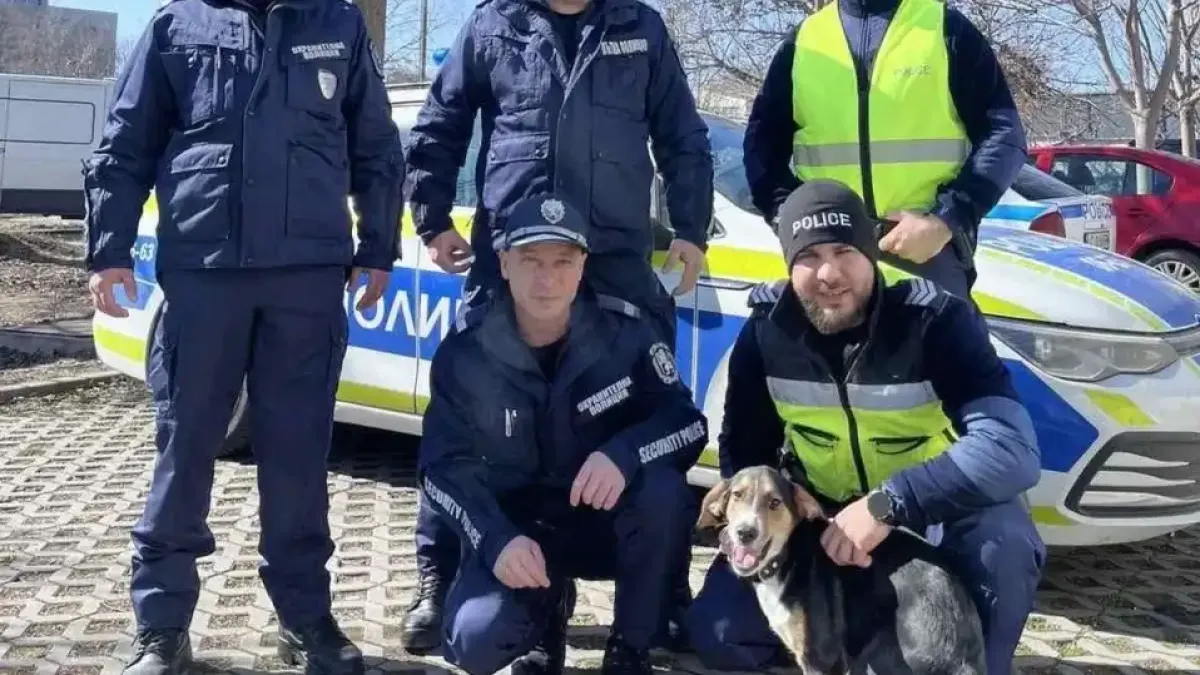 Полицаи спасиха Цезар от голям бабаит, сега живее в районното