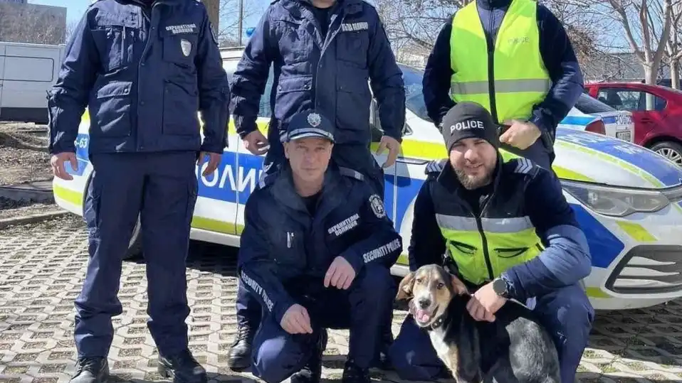 Полицаи спасиха Цезар от голям бабаит, сега живее в районното