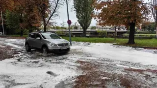 Какво се случва в Пловдив, цял булевард побеля все едно е посред зима Снимки