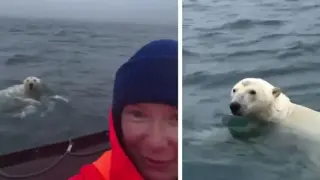 Жена запечата на Видео бяла мечка близо до лодката си