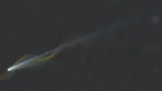Астроном засне на видео комета и метеор, преплетени над Земята