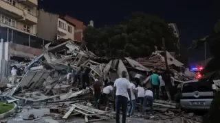 Наш сеизмолог: Кучета предсказаха 24 часа по-рано силния трус в Турция