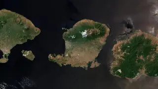 Мистерията с невидимата линия в морето, която животните не преминават