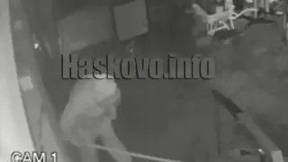 Дързък апаш удари автосервиз, камери ги засякоха и... Снимки