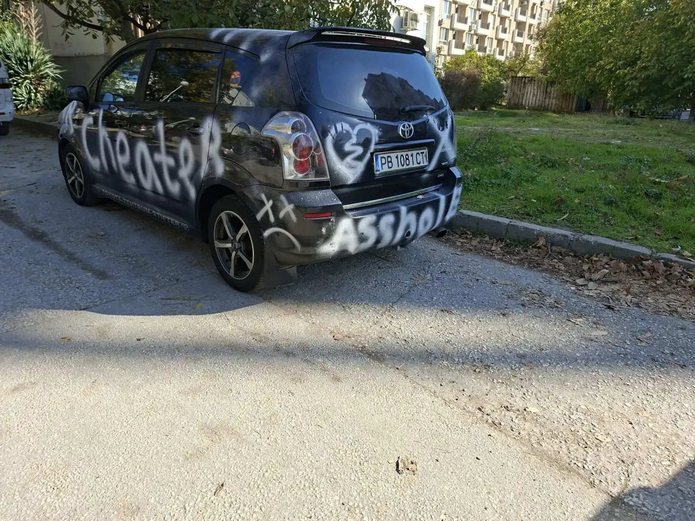 Няма прошка! Изневярата вече се разпознава по надписите на колите: „Лъжец“ и „З*дник“ водят класацията Снимки