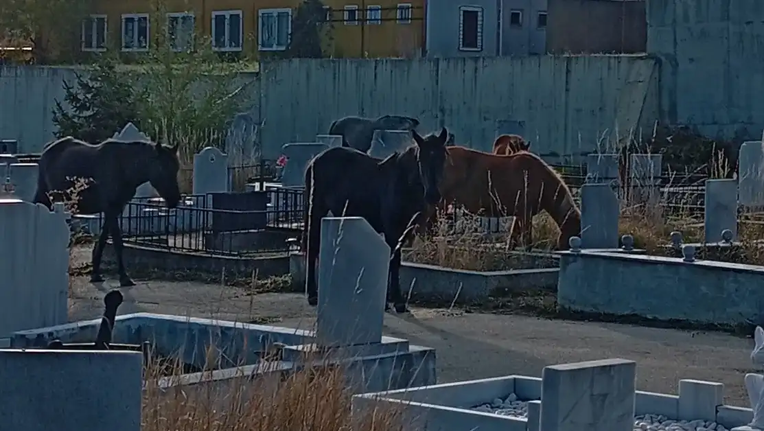 Голяма грехота в Самоков, местните цъкат с език