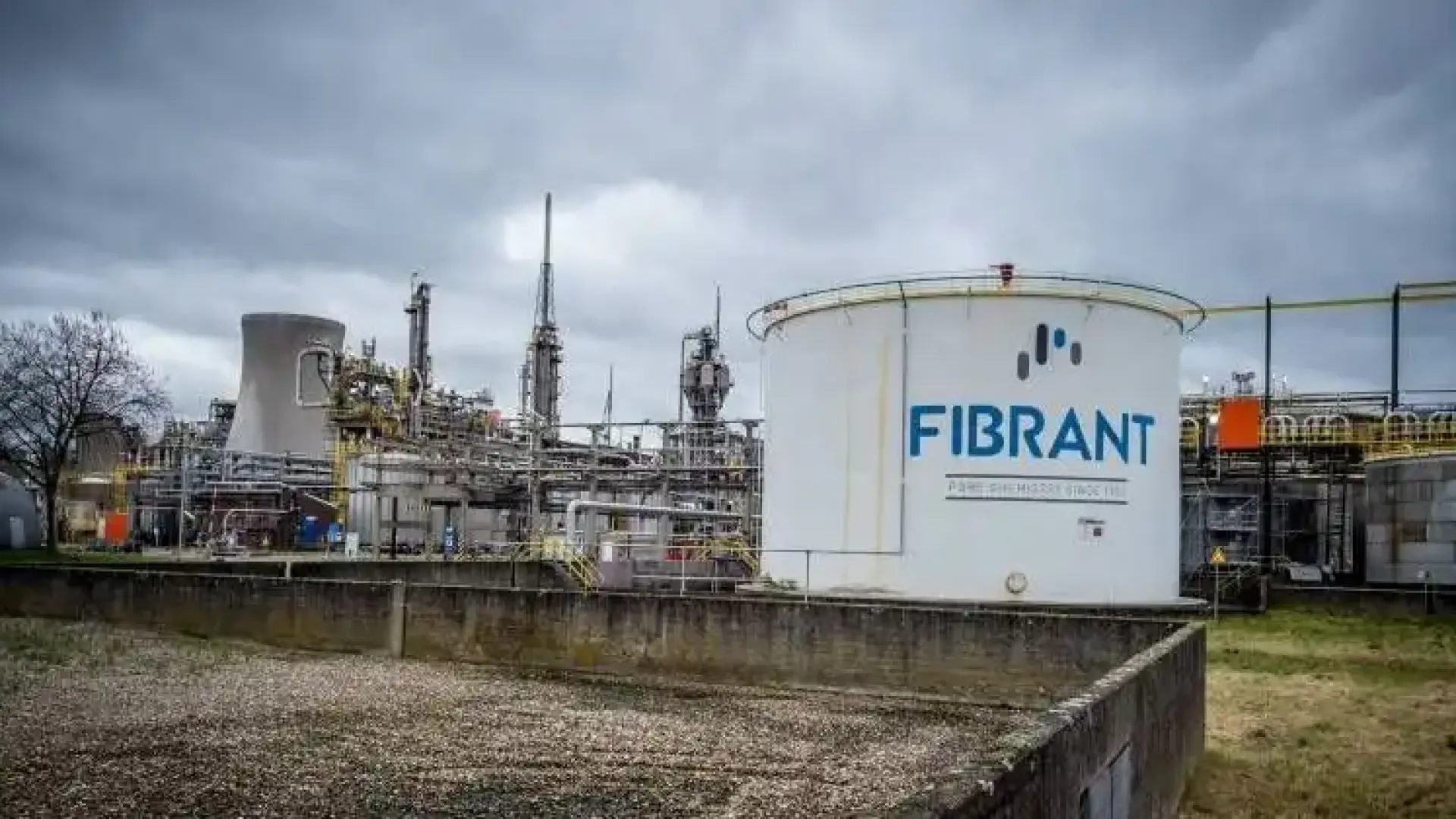 Масово бягство на тези компании от Нидерландия