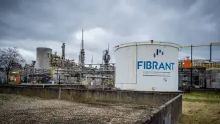 Масово бягство на тези компании от Нидерландия