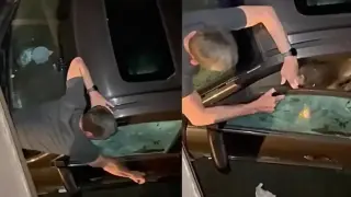 Мечка влезе в кола за храна и ухапа мъж Видео