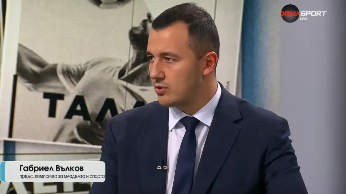Габриел Вълков: Законът срещу футболното хулиганство ще върне нормалните хора на стадиона