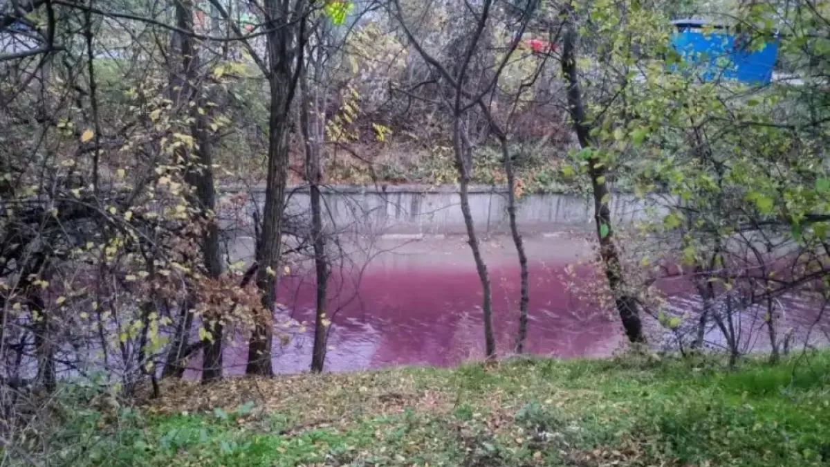 Кървави води потекоха в река в София