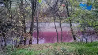Кървави води потекоха в река в София