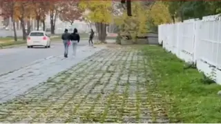 Проститутки “работят” край бившата Белодробна болница в Пловдив, на метри от деца
