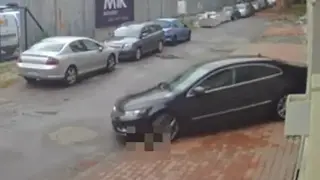Шокиращо разкритие за лекаря Недко, който прегази куче като разбит легнал полицай