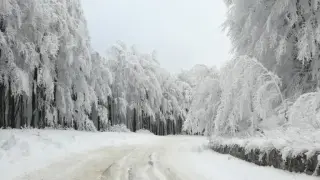 Лоши новини за зимата и снега: Европа може да остане без бяла покривка до края на века